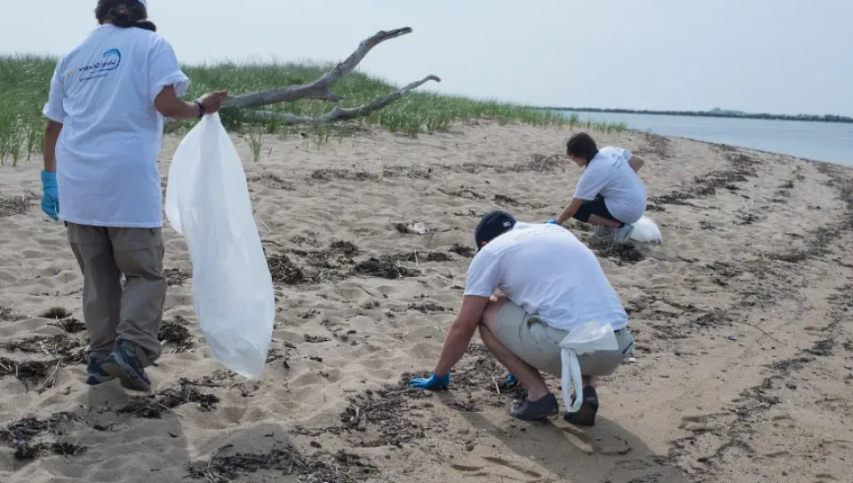 U N E students take part in the coastal clean up removing trash from freddy beach